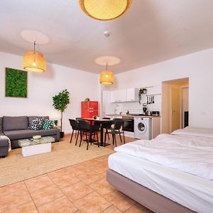 Appartement met een Slaapkamer